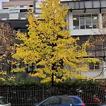 Apartamento My Cozy In - Blloku Area